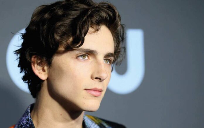 Timothée Chalamet e Edward Norton arrivano a Roma per un film speciale