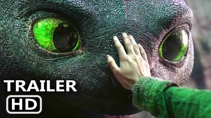 dragon trainer